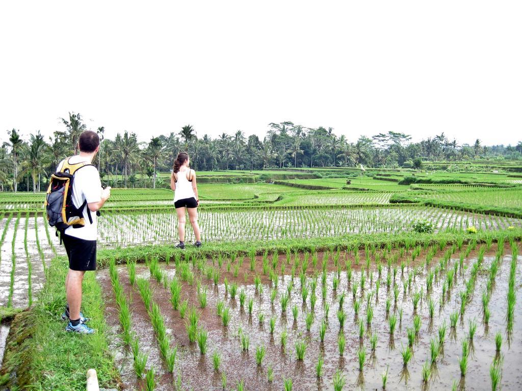 Uma Caming Villas & Gym Tegallalang  Buitenkant foto