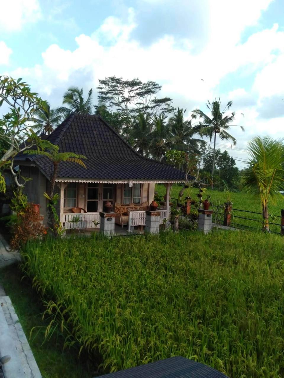 Uma Caming Villas & Gym Tegallalang  Buitenkant foto