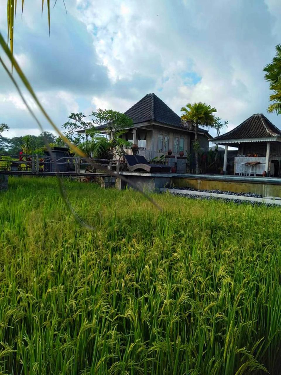 Uma Caming Villas & Gym Tegallalang  Buitenkant foto