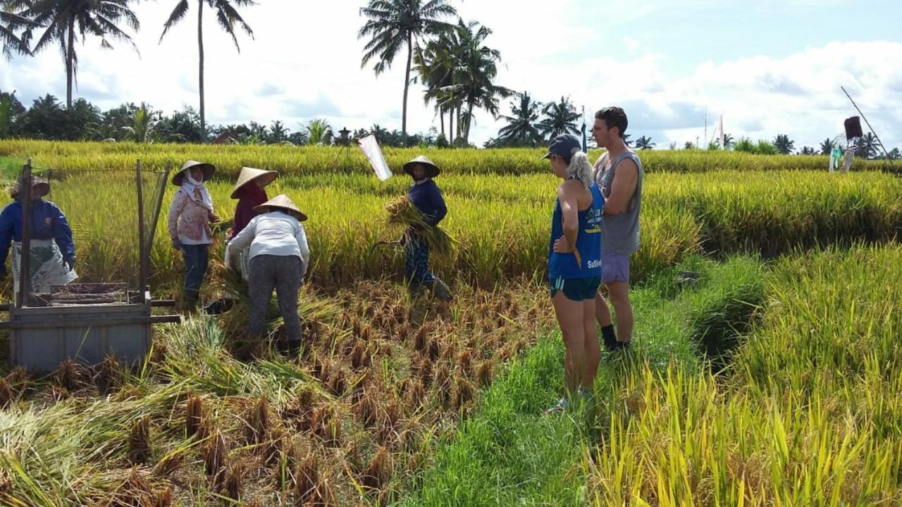 Uma Caming Villas & Gym Tegallalang  Buitenkant foto